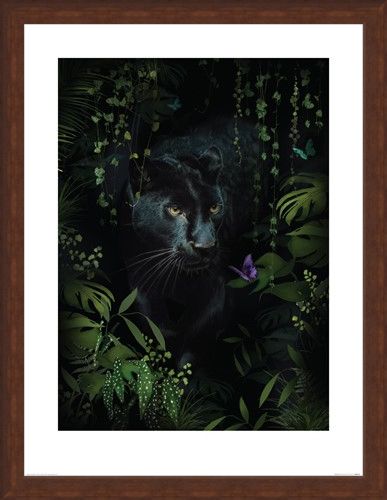 Framed Framed Panther - Summer Thornton
