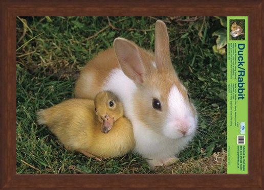 Framed Framed Best Friends - Duck And Rabbit