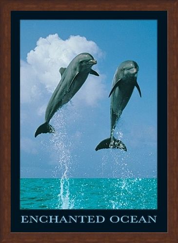 Framed Framed Dolphins Jumping - Enchanted Ocean