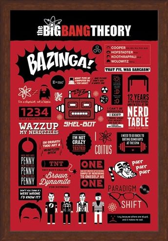 Framed Framed The Big Bang Theory Infographic - The Big Bang Theory