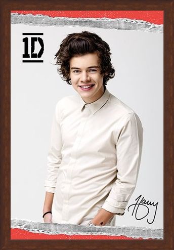 Framed Framed Harry - One Direction