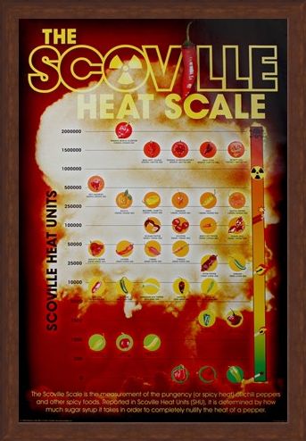 Framed Framed How Hot Can You Handle It? - The Scoville Heat Scale