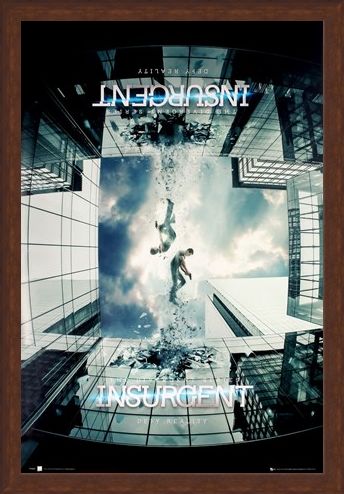 Framed Framed The Divergent Series - Insurgent