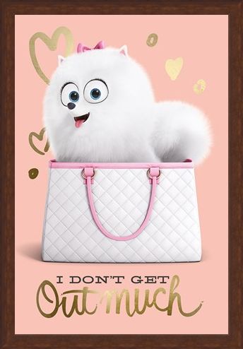Framed Framed I Don't Get Out Much - The Secret Life Of Pets
