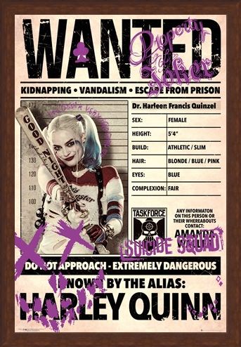 Framed Framed Harley Wanted - Suicide Squad
