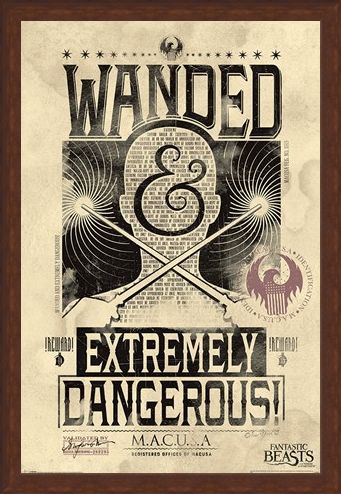 Framed Framed Extremely Dangerous - Fantastic Beasts