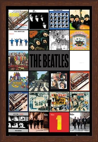 Framed Framed Albums - The Beatles