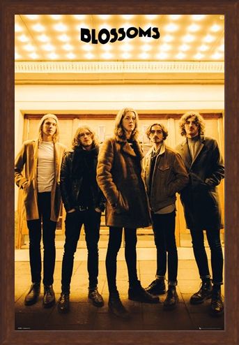 Framed Framed Band Line-up - The Blossoms