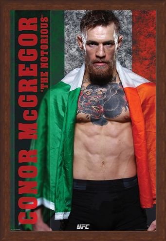 Framed Framed The Irish Champion - Conor McGregor