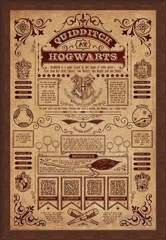 Framed Framed Quidditch At Hogwarts - Harry Potter