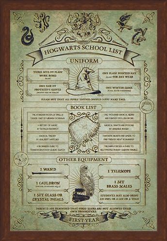 Framed Framed Hogwarts First Year Essentials - Harry Potter