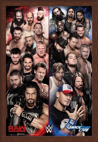 Framed Framed Raw vs Smackdown - WWE