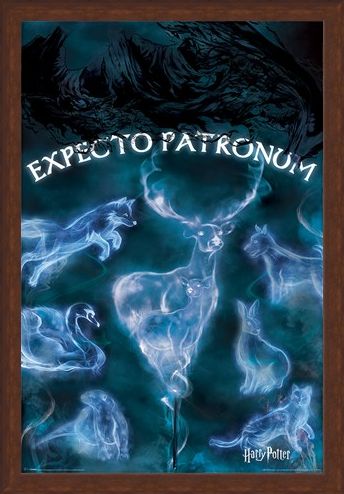 Framed Framed Expecto Patronum - Harry Potter
