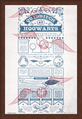 Framed Framed Rough Game, Quidditch - Harry Potter