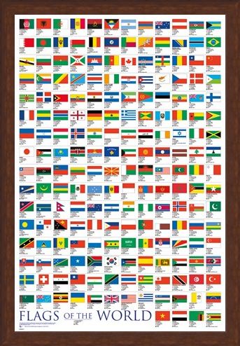 Framed Framed Flags Of The World - Educational