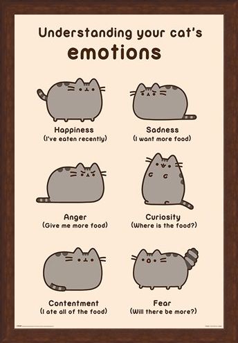 Framed Framed Cats Emotions - Pusheen