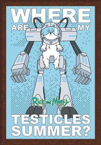 Framed Framed Where Are My Testicles - Rick and Morty