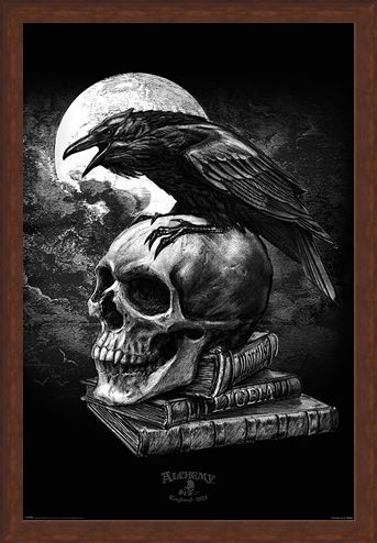 Framed Framed Poe's Raven - Alchemy