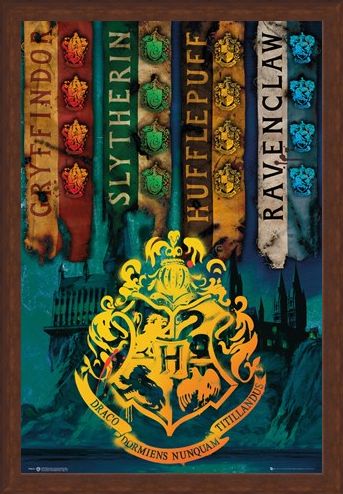 Framed Framed House Flags - Harry Potter