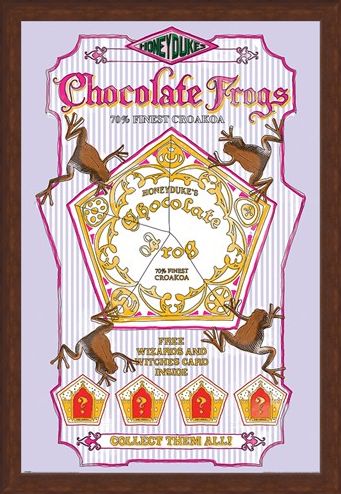 Framed Framed Honeydukes Chocolate Frogs - Harry Potter