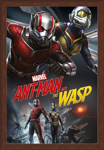 Framed Framed Ant-Man and The Wasp Dynamic - Marvel
