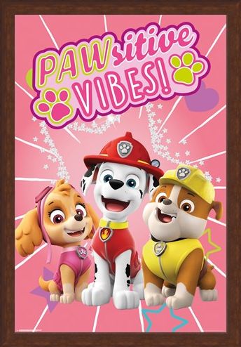 Framed Framed Pawsitive Vibes - Paw Patrol
