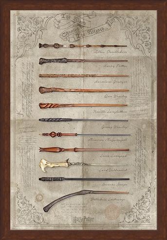 Framed Framed The Wand Chooses The Wizard - Harry Potter