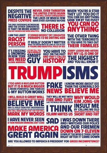 Framed Framed Trumpisms - President Trump