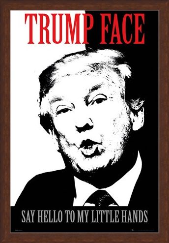 Framed Framed Say Hello To My Little Hands - Trump Face