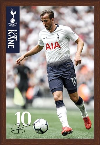 Framed Framed Kane 18-19 - Tottenham Hotspur