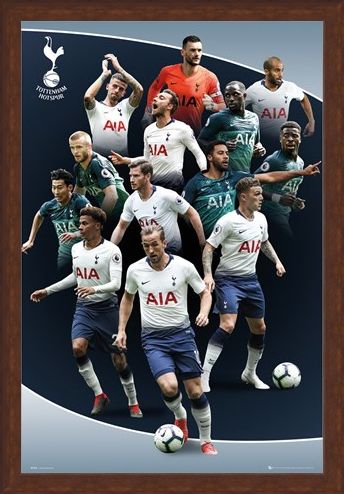 Framed Framed Players 18-19 - Tottenham Hotspur