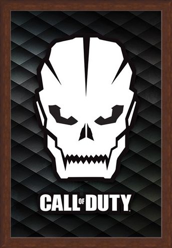 Framed Framed Skull - Call Of Duty