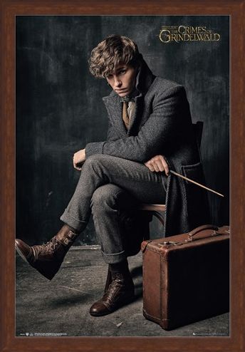 Framed Framed Newt Scamander - Fantastic Beasts 2