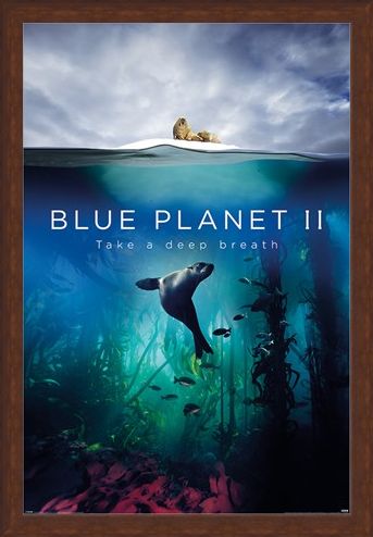 Framed Framed Take A Deep Breath - Blue Planet 2