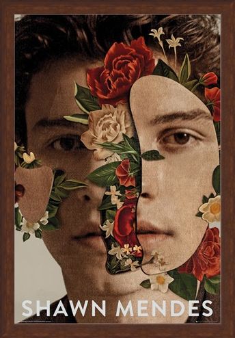 Framed Framed Flowers - Shawn Mendes