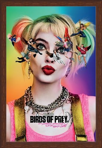 Framed Framed Seeing Stars - Birds Of Prey