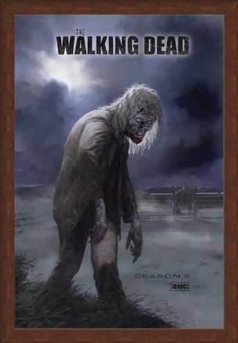 Framed Framed Flesh Eating Walker! - The Walking Dead