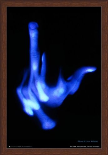 Framed Framed The Finger - David Wilhelm