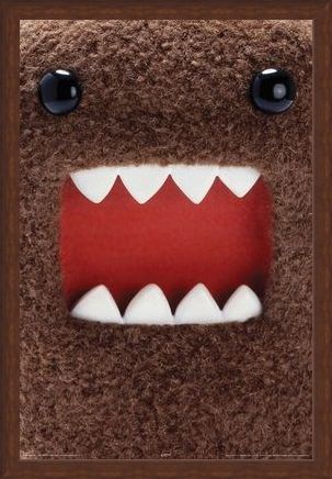 Framed Framed Extreme Close Up - Domo