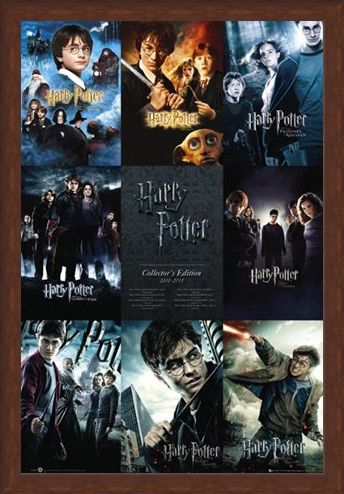 Framed Framed From Boy to Wizard - The Complete Harry Potter