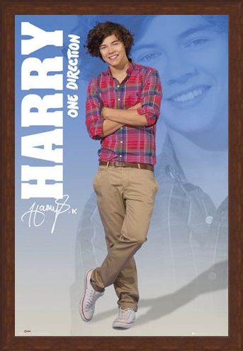 Framed Framed Harry - One Direction