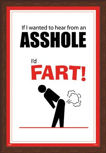 Framed Framed If I Wanted To Hear From An Asshole - I'd Fart