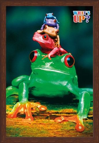 Framed Framed What's Up? - Five Frog Pyramid