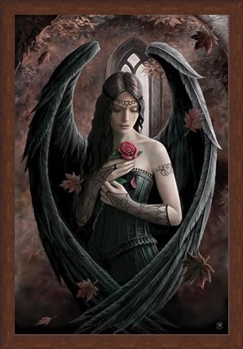 Framed Framed Angel Rose - Anne Stokes