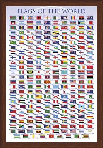 Framed Framed Flags of the World - Educational Chart