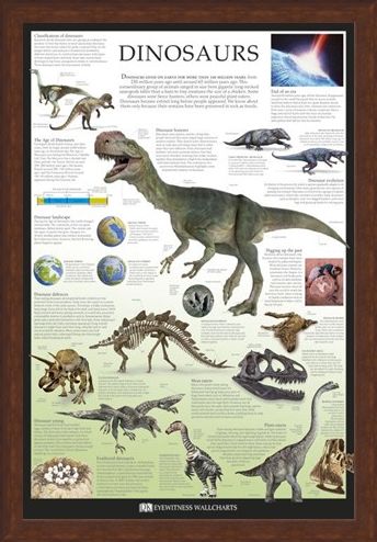 Framed Framed Dinosaurs - Dorling Kindersley