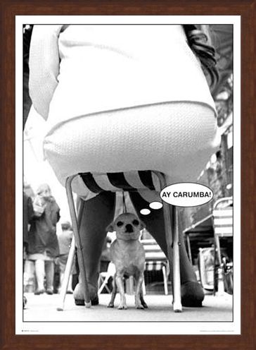 Framed Framed Ay-Carumba - Dog Under Chair