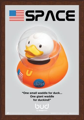 Framed Framed Space Duck - Bud Ducks