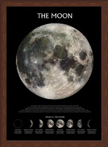 Framed Framed Phases of the Moon - The Moon