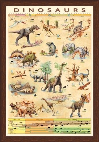 Framed Framed Dinosaurs Species - Jurassic Age Timeline